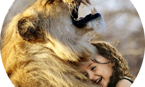 Wie du durch Liebe Löwen und sonstige Ungeheuer zähmst – sogar Menschen!