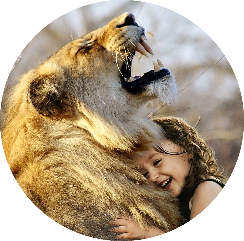 Wie du durch Liebe Löwen und sonstige Ungeheuer zähmst – sogar Menschen!