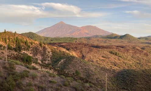 Das Ego hat dich im Griff, weil du…