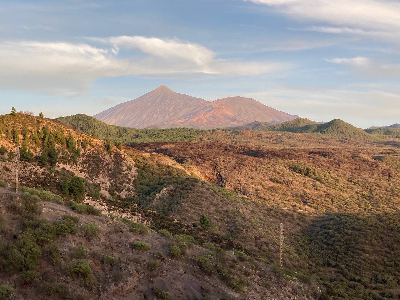 Das Ego hat dich im Griff, weil du…